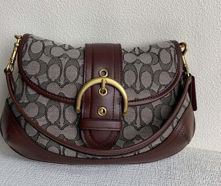 Picture of Coach Handbags _SKUfw241065191fw